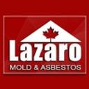 Lazaro Remediation logo